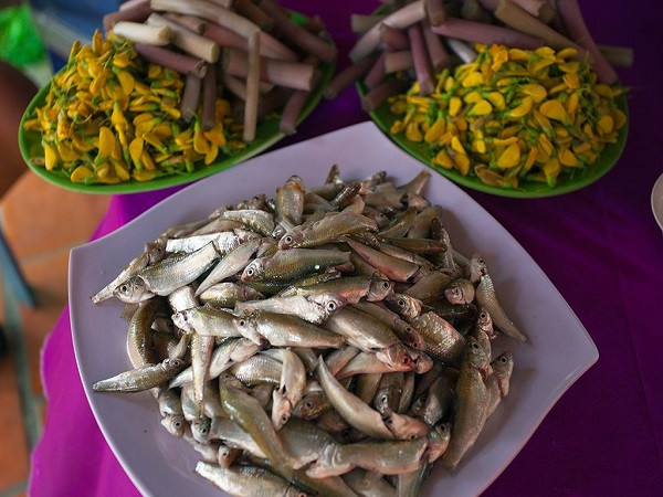 TOUR CHÂU ĐỐC | CẦN THƠ | CÀ MAU | BẠC LIÊU | SÓC TRĂNG