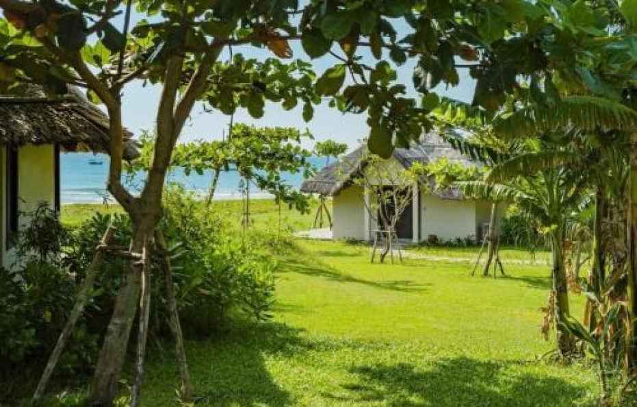 Deluxe Beachfront Bungalow