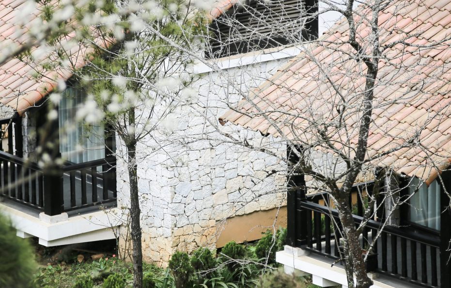 Nest Villa