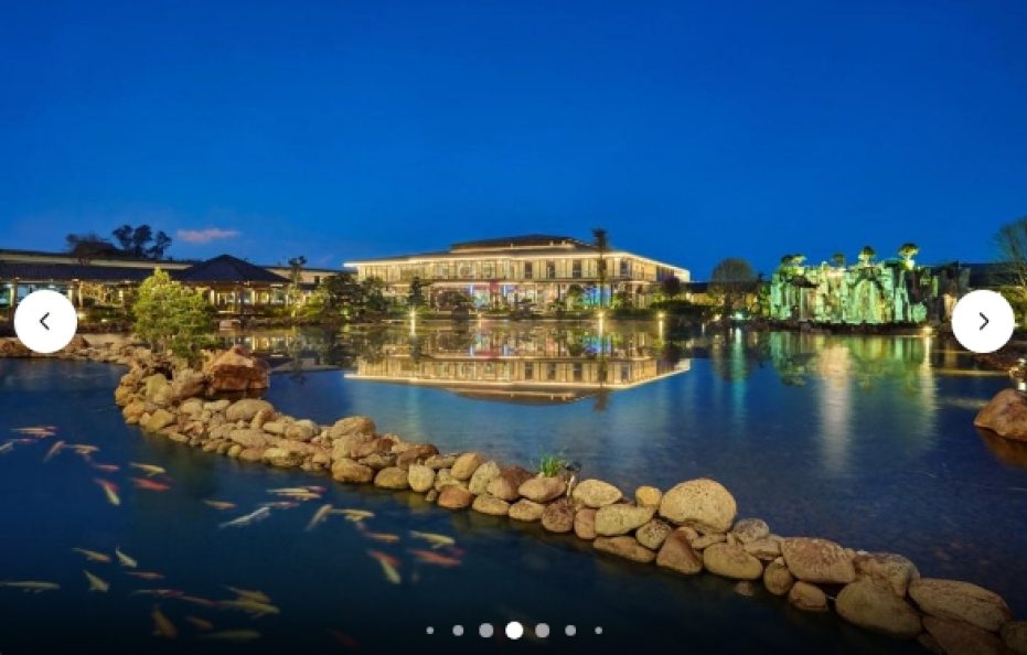 Deluxe Koi View