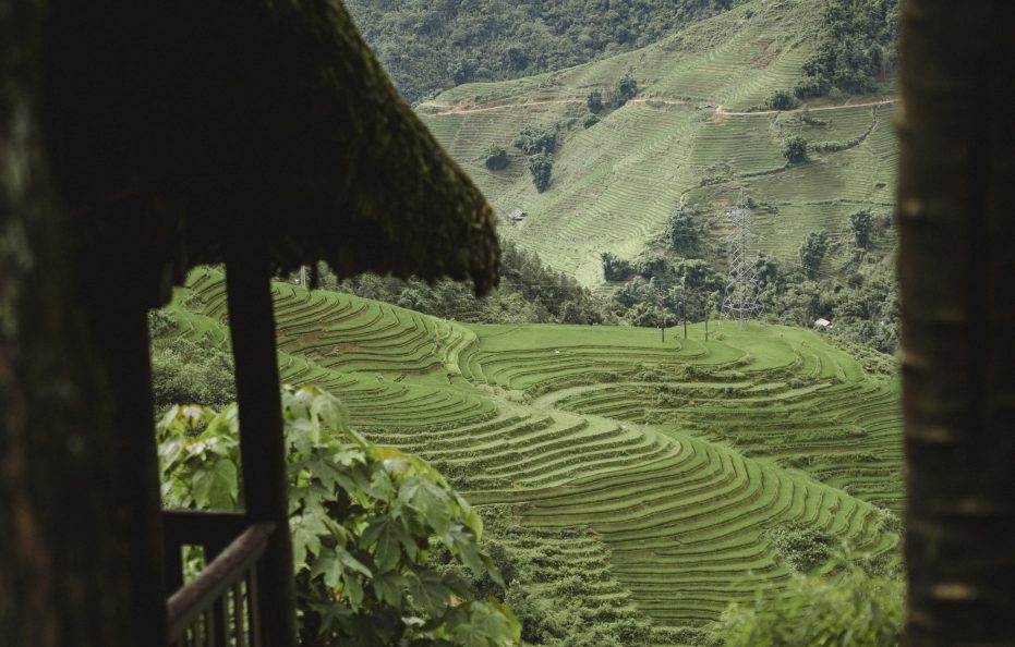 Bungalow Panorama View