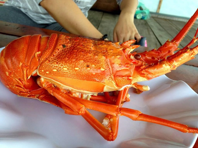 TOUR NINH CHỮ | LÀNG MÔNG CỔ TANYOLI | HANG RÁI | VỊNH VĨNH HY