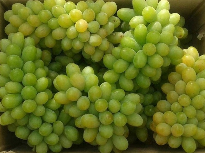 TOUR NINH CHỮ | LÀNG MÔNG CỔ TANYOLI | HANG RÁI | VỊNH VĨNH HY