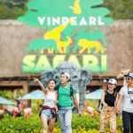 Vé Vinpearl Safari Phú Quốc