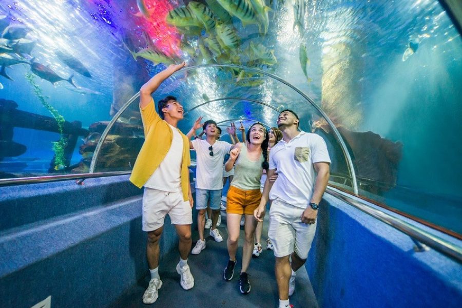 TOUR NHA TRANG | ĐẢO KHỈ | VINPEARL HARBOUR