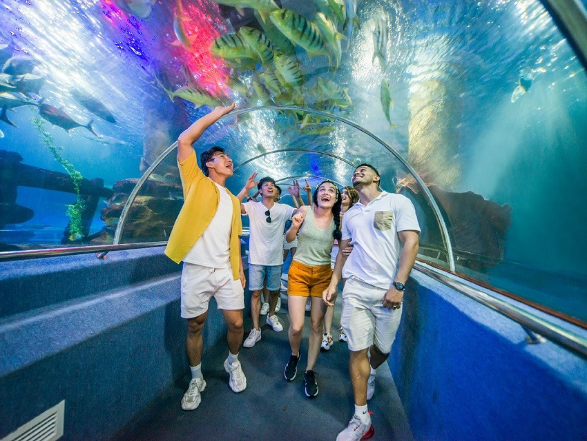 TOUR NHA TRANG | ĐẢO KHỈ | VINPEARL HARBOUR