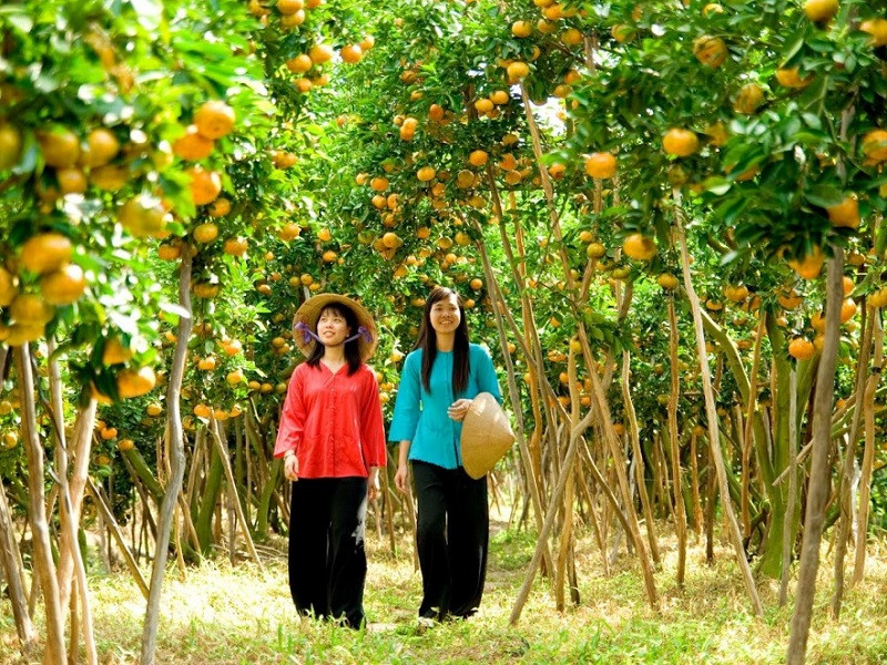 TOUR MỸ THO | CẦN THƠ | DU THUYỀN MARINA | CHỢ NỔI CÁI RĂNG