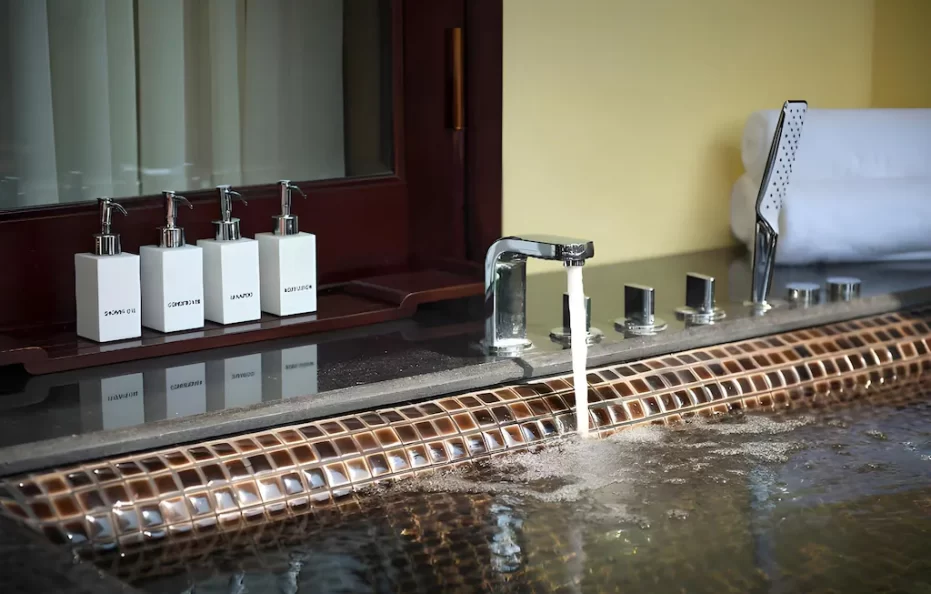 Premium Suite with Terrace