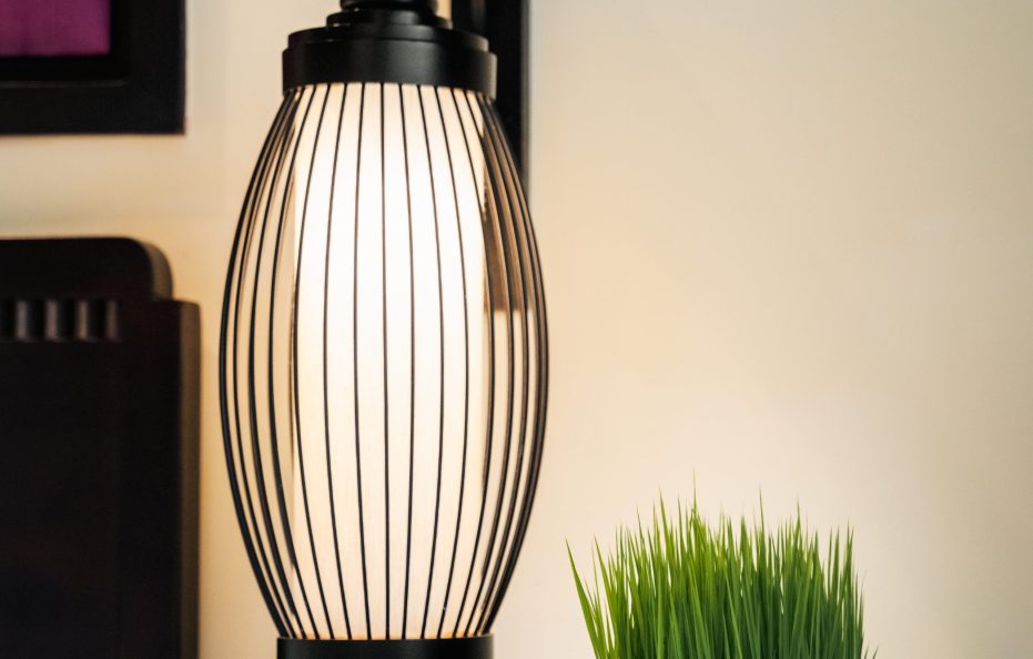 Deluxe Garden/ City View