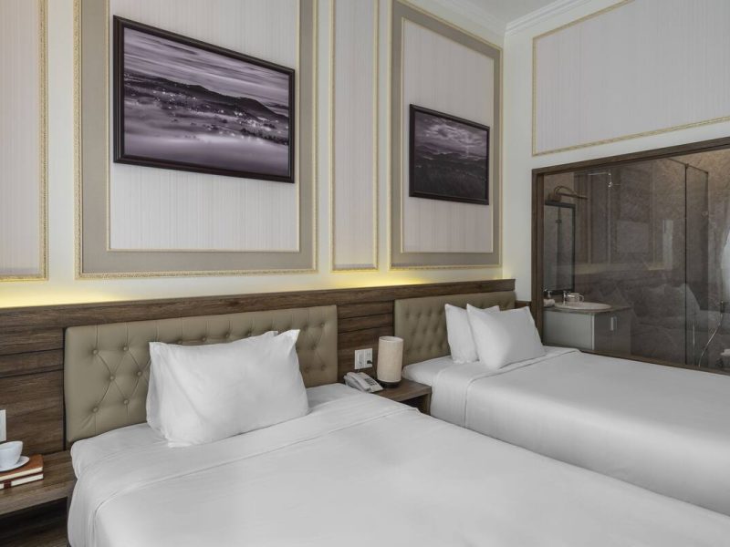 Deluxe Twin City View