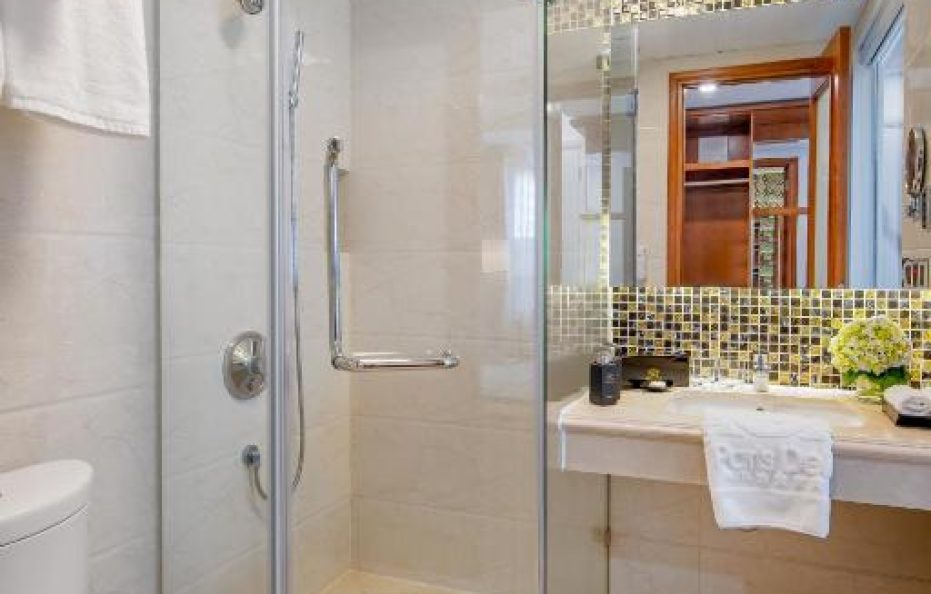 Deluxe Double/Twin Room