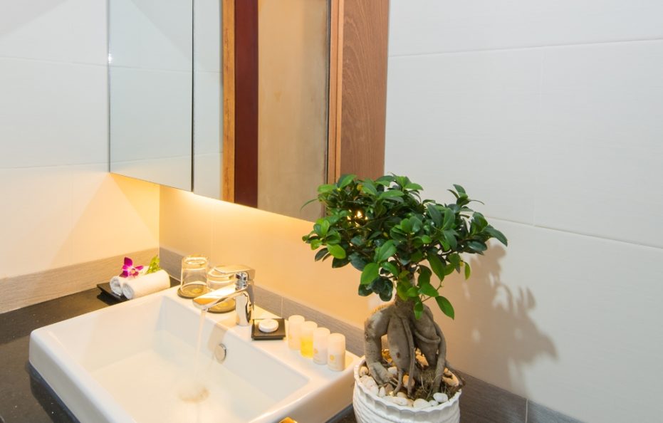 Deluxe Twin Room with River & Ocean View