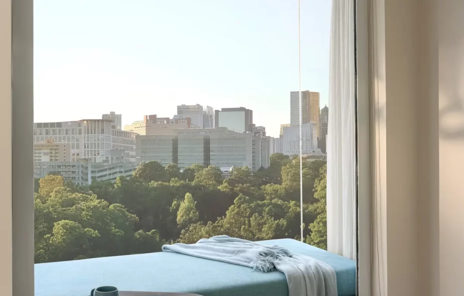 Deluxe Twin Park View (2pax)