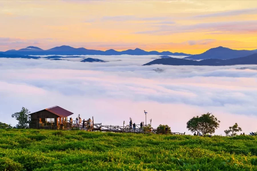 TOUR ĐÀ LẠT – SĂN MÂY CHECK IN NỬA NGÀY
