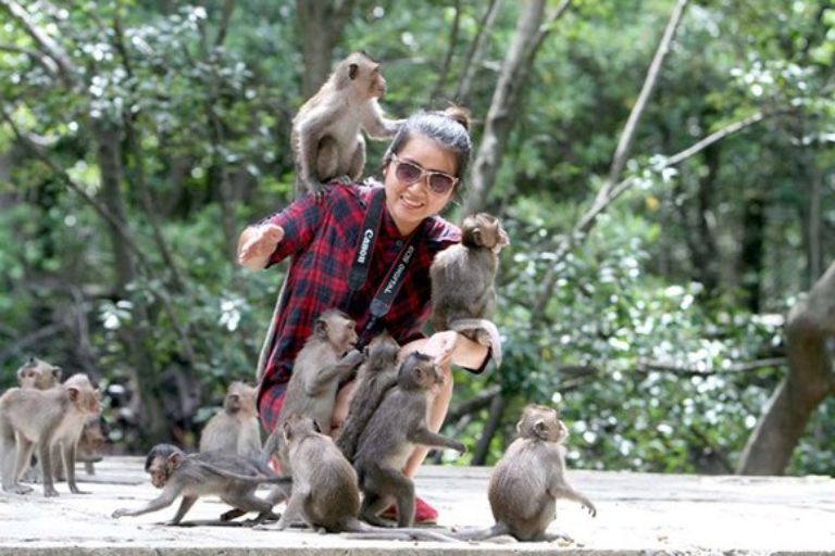 TOUR DU LỊCH SINH THÁI CẦN GIỜ – THIÊN ĐƯỜNG ĐẢO KHỈ 1 NGÀY
