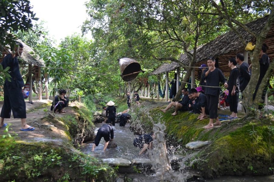 TOUR 1 NGÀY TÁT MƯƠNG BẮT CÁ – KDL SINH THÁI VĂNG SANG