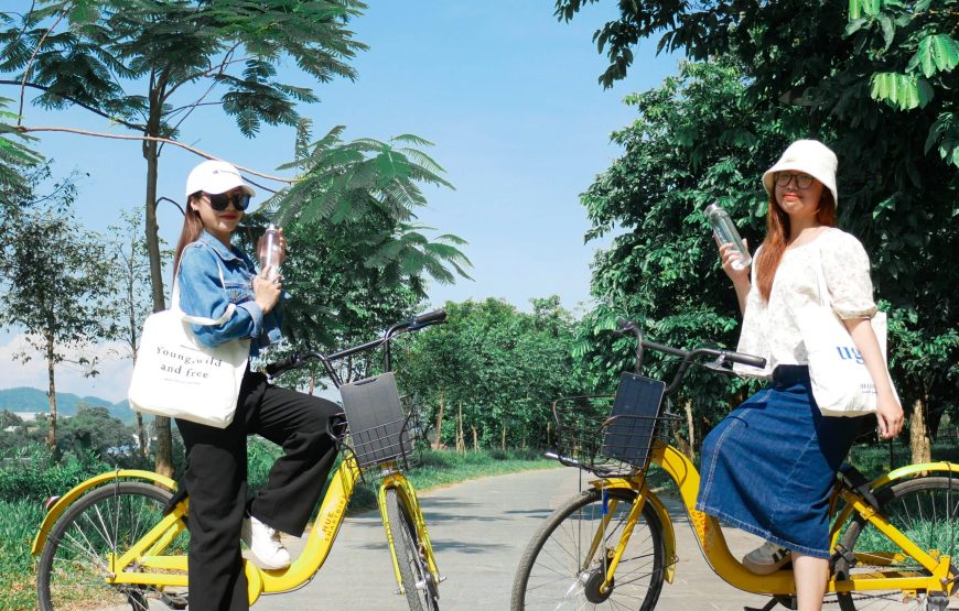 TOUR CAO CẤP 1 NGÀY: HUẾ HEALING TOUR MỘT NGÀY SỐNG LÀNH – ĐI ĐỂ TRỞ VỀ