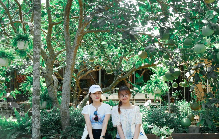 TOUR CAO CẤP 1 NGÀY: HUẾ HEALING TOUR MỘT NGÀY SỐNG LÀNH – ĐI ĐỂ TRỞ VỀ