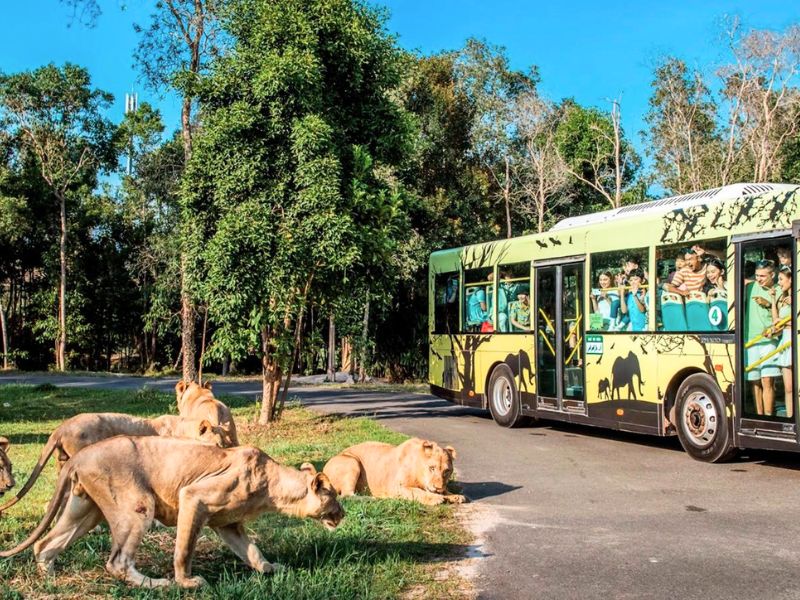 Không thể bỏ lỡ Vinpearl Safari khi đến Phú Quốc