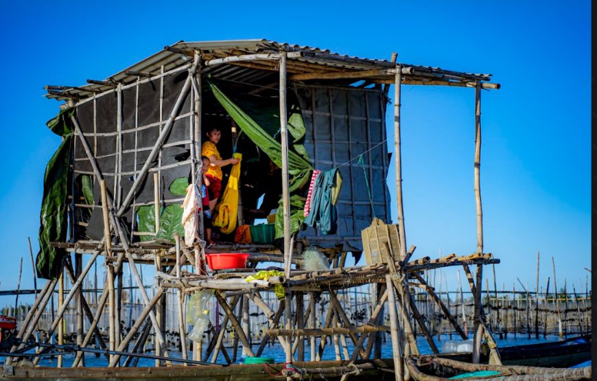 TOUR NỬA NGÀY: CHIỀU TRÊN PHÁ TAM GIANG