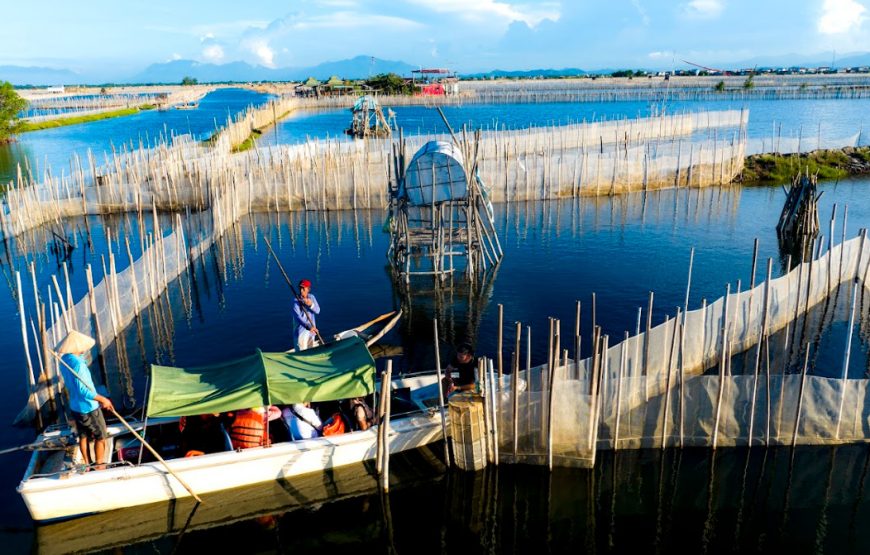 TOUR NỬA NGÀY: CHIỀU TRÊN PHÁ TAM GIANG
