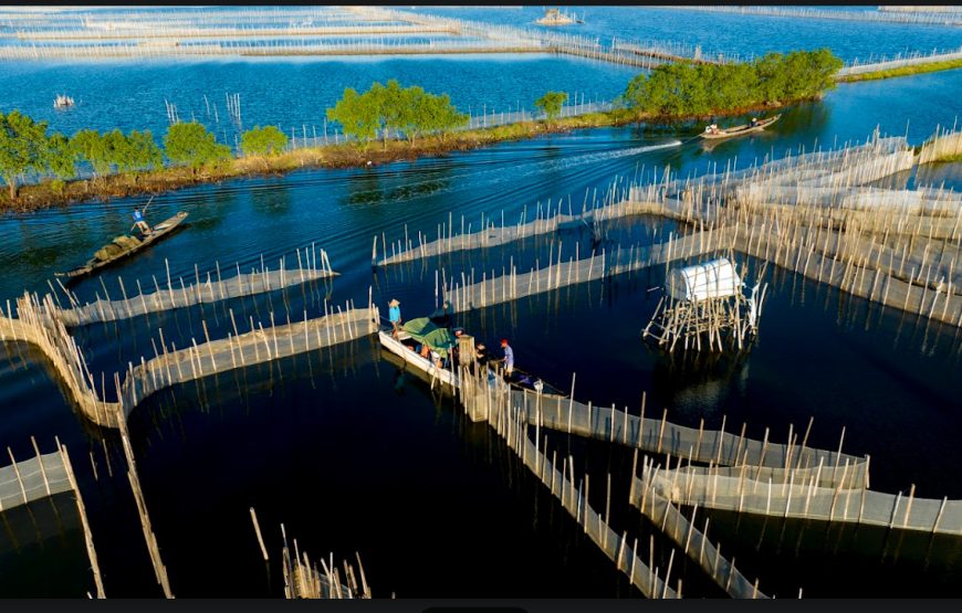 TOUR NỬA NGÀY: CHIỀU TRÊN PHÁ TAM GIANG