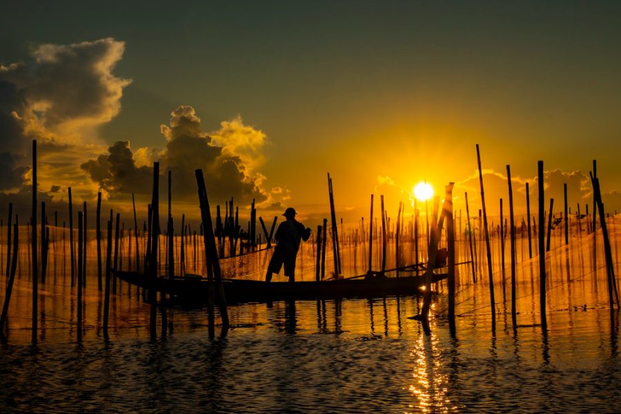 TOUR NỬA NGÀY: CHIỀU TRÊN PHÁ TAM GIANG