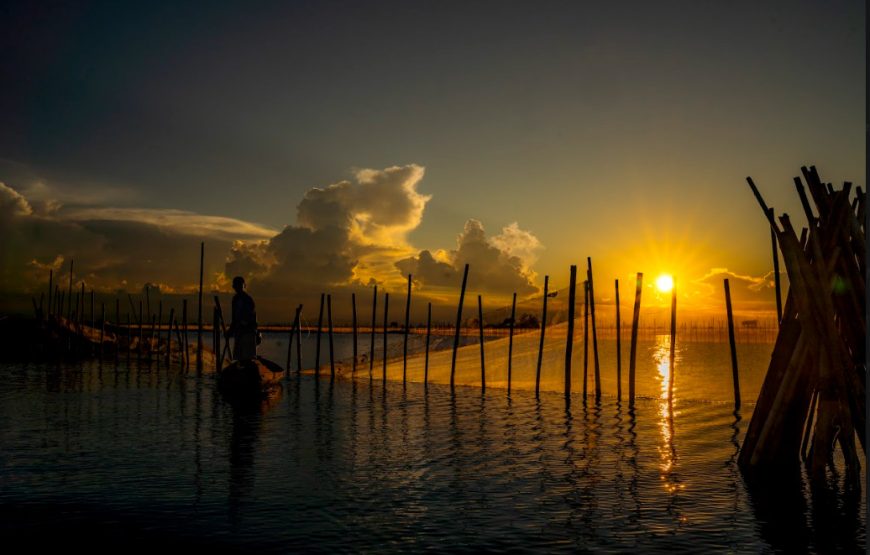 TOUR NỬA NGÀY: CHIỀU TRÊN PHÁ TAM GIANG