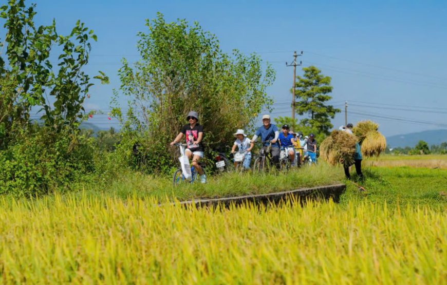 TOUR CAO CẤP 1 NGÀY: MỘT NGÀY DU LỊCH NET ZERO Ở HUẾ