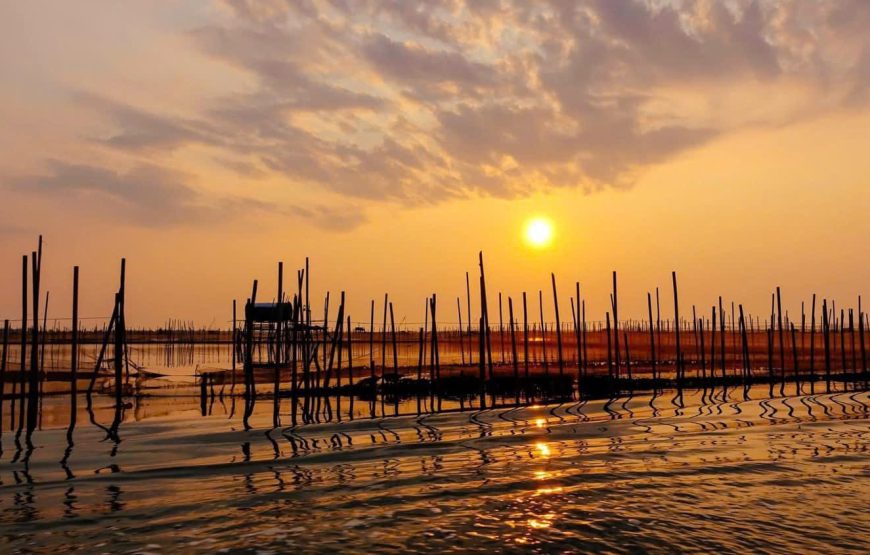 TOUR NỬA NGÀY: CHIỀU TRÊN PHÁ TAM GIANG